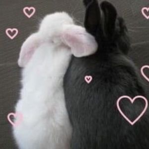 Meet your Posher, Pauline